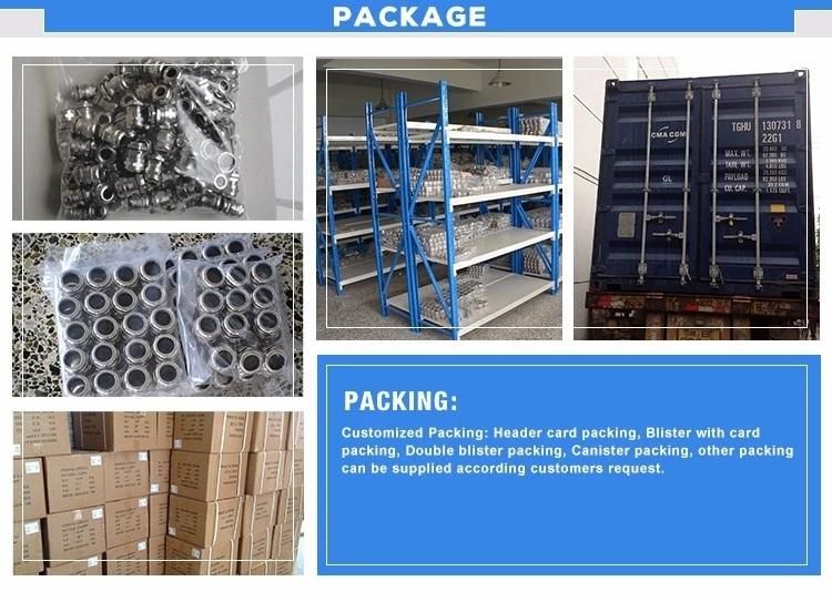 Nylon Cable Gland High Quality Low Price