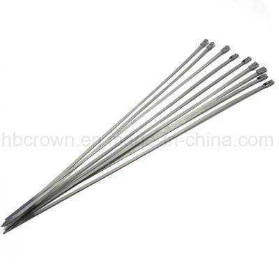 Self Locking SS304 Metal Cable Tie for Tying Cable