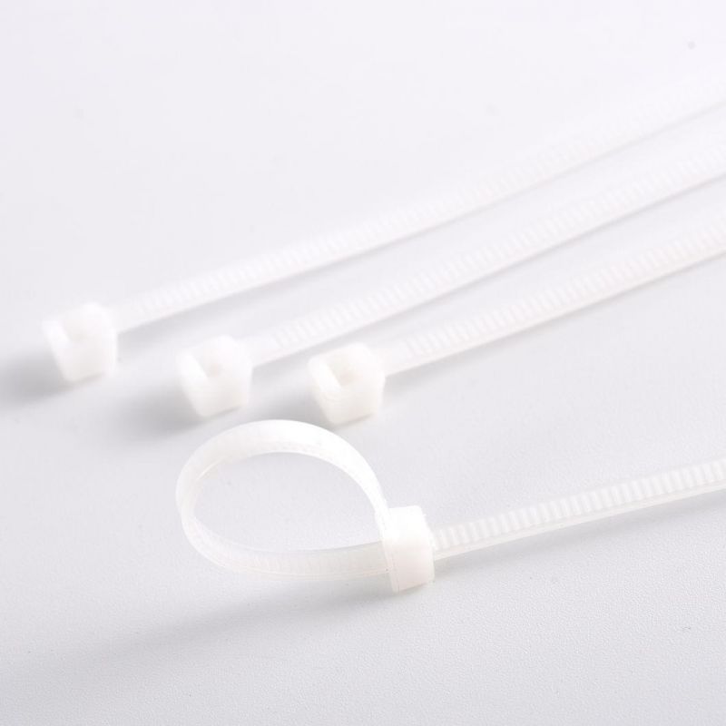 High Quality 94V Nylon Cable Tie