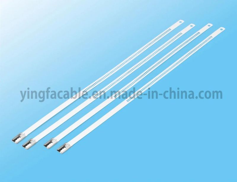 Professional Manufacturer Wholesale Stainless Steel Cable Ties