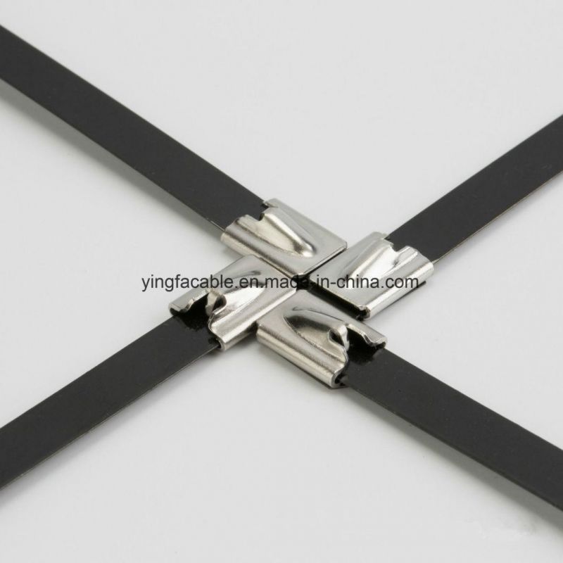 Free Sample Self-Locking Stainless Steel Cable Ties with Coating 7.9X800mm