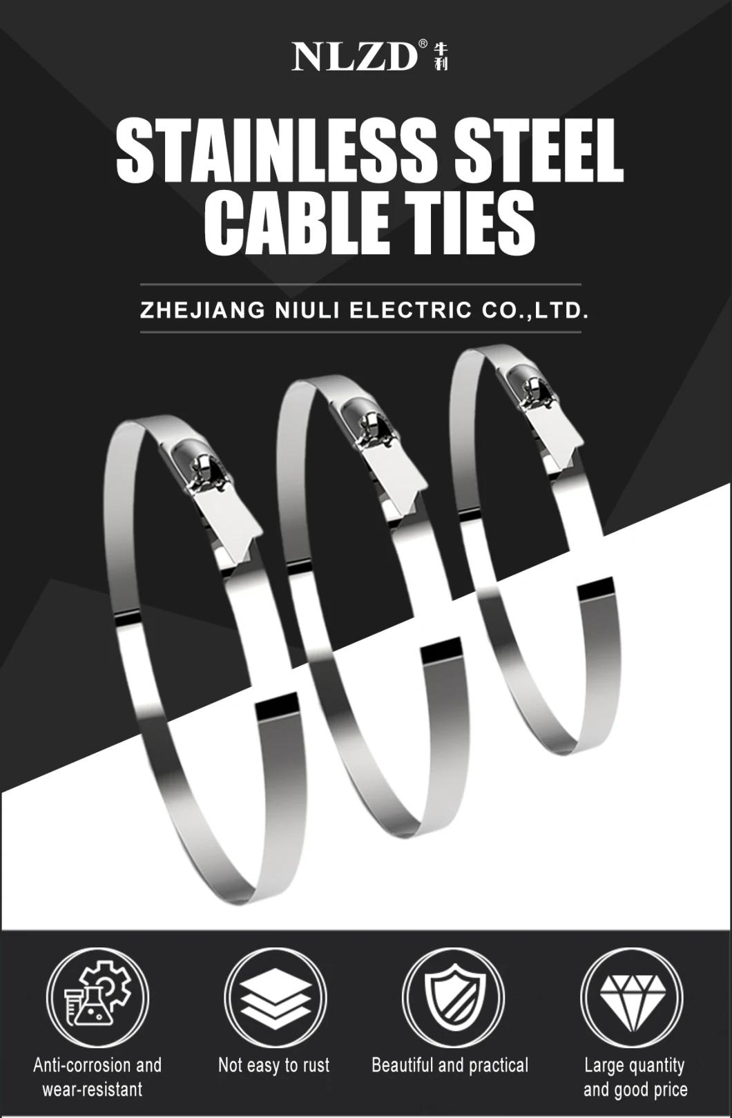 Manufacturer 4.6X300 304 Wire Stainless Steel Cable Tie