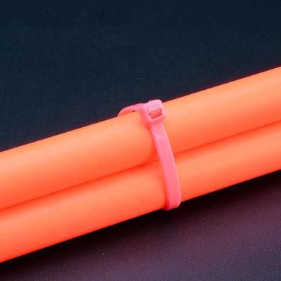China Weather Resistant Fireproof UV Resistant Nylon 66 Cable Tie