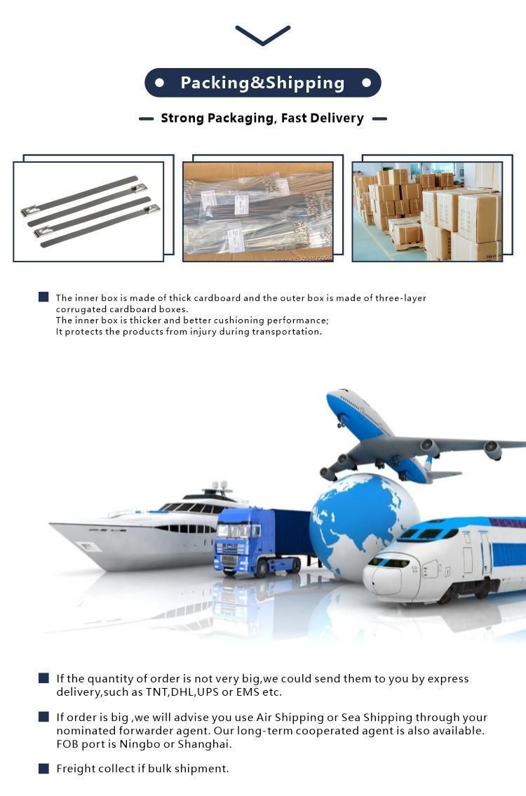 304 & 316 Metal Wire Self Ball Locking Stainless Steel Cable Tie Manufacturer with CE