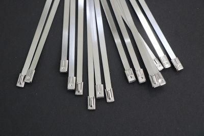316 201 Ties Stainless Steel Buckles Zip Nylon Cable Tie Hot 4.6X200
