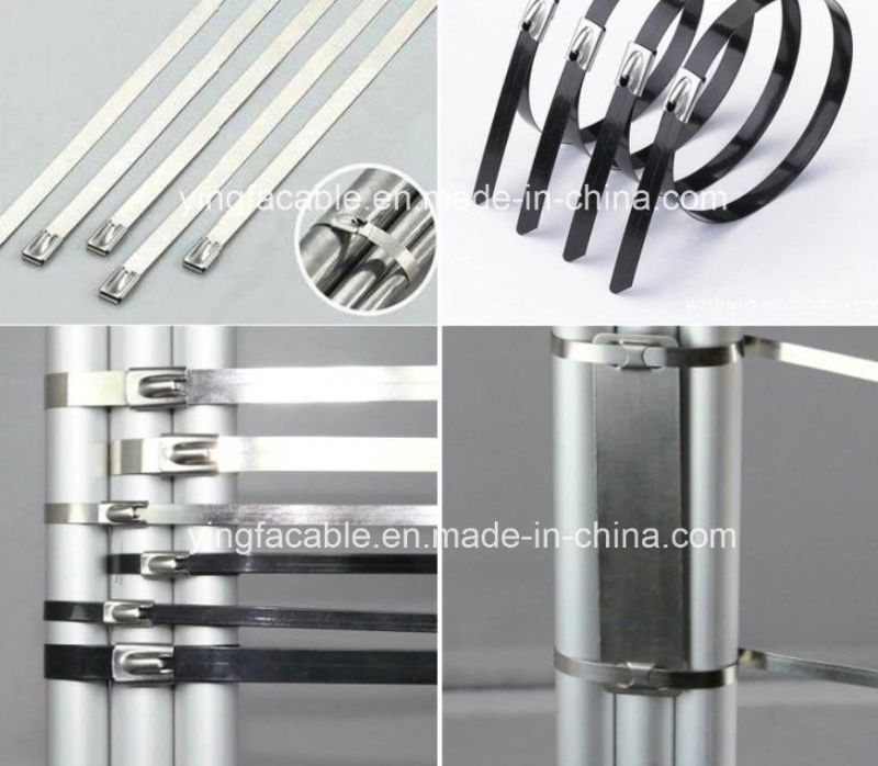 2017 Hot Sale Stainless Steel Strip Packing in Dispenser 20*0.7mm