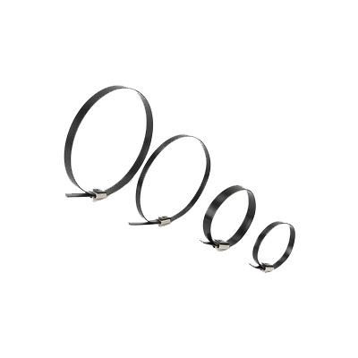 Meishuo Self-Locking 316 Metal Cable Tie 100PCS/Bag Uncoated Stainless Steel Cable Ties Manufacturer