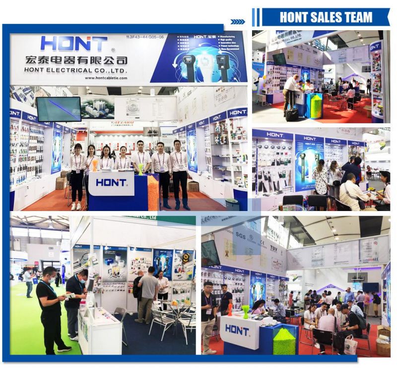 Hont Self-Locking Plastic Nylon 66 Cable Tie with UL Certificate
