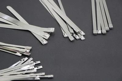 ISO Approved 304 Ties Stainless Steel Buckles Zip 316 Cable Tie OEM 4.6X200