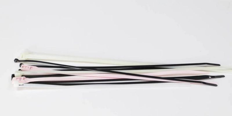 Nylon Cable Tie 2.5*200 mm 8 Inch Zip Ties 100 Pieces