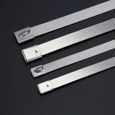 Marine Use Safe Lock Stainless Steel Metal Cable Ties