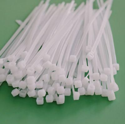 Boese 100PCS/Bag Wenzhou Wholesale Adjustable Sealing Strap PA66 Nylon Cable Tie with ISO Good Service
