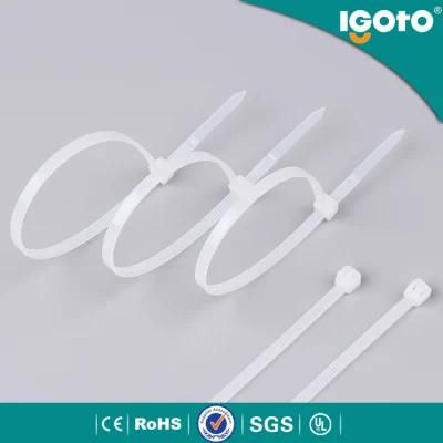 Self-Locking Plastic Nylon Cable Tie with Ce SGS RoHS