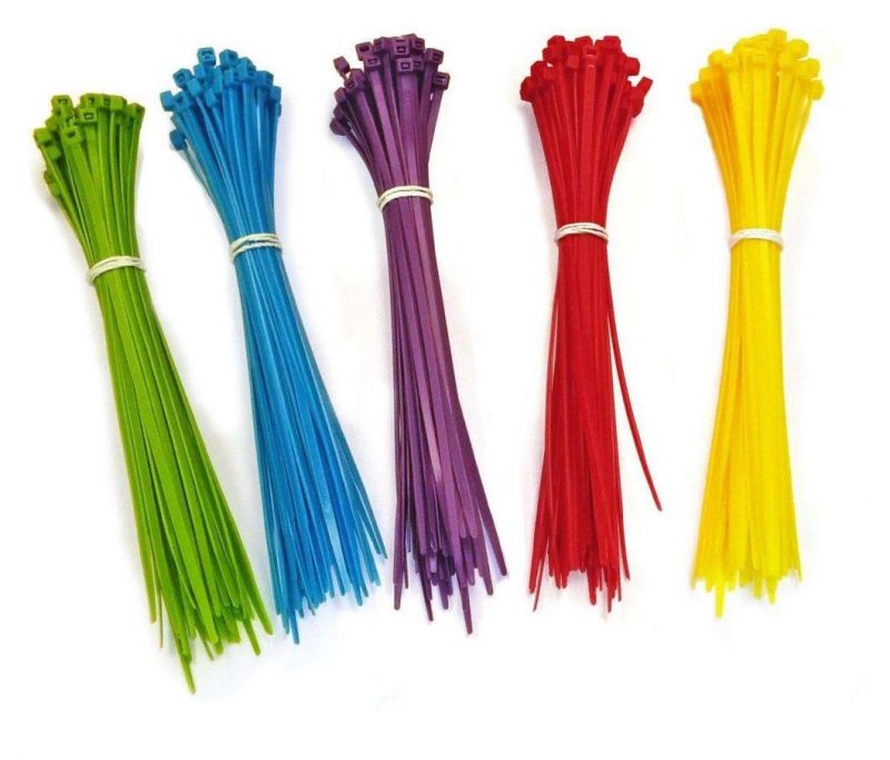 Wholesale Direct Self Locking Hotselling Nylon Zip Cable Tie with Label