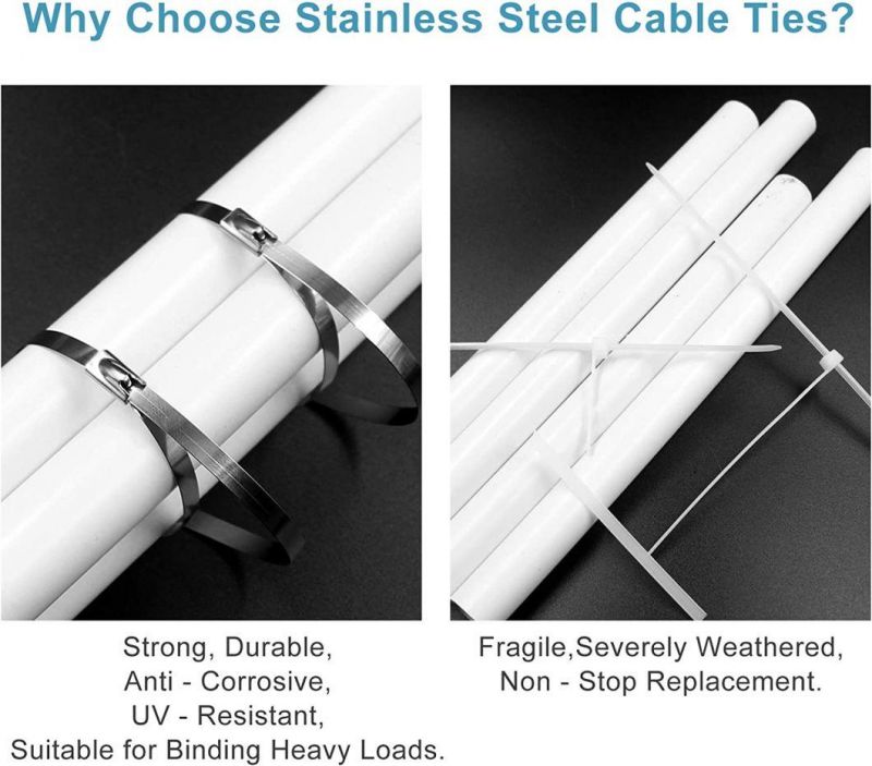 New Design Custom 4.6*250mm Self-Locking Stainless Steel 316 Cable Ties