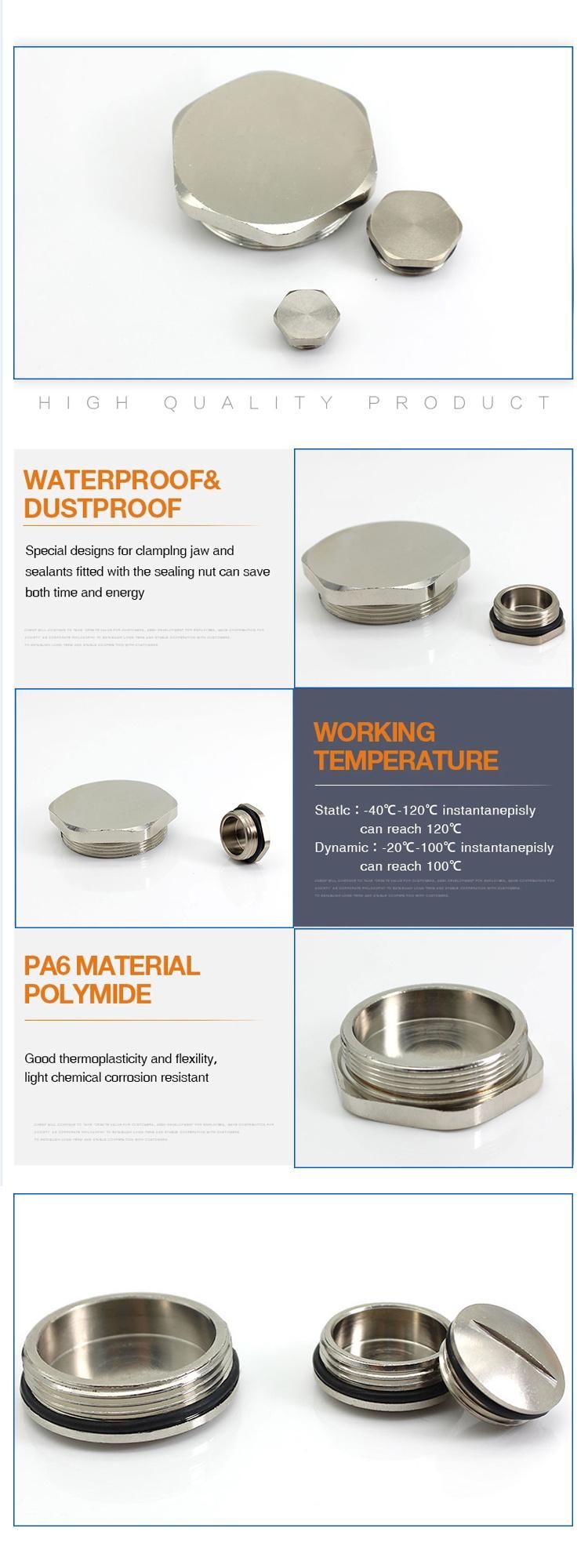 Hexagonal Brass Screw Cap for Metric