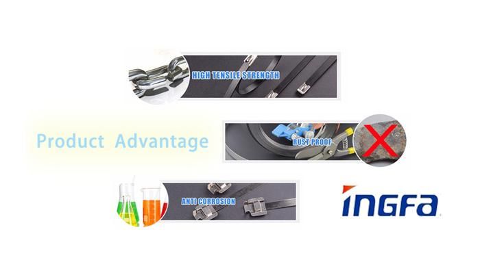 Manufacturer Supply 4.6*350 Stainless Steel Ball Lock Cable Tie