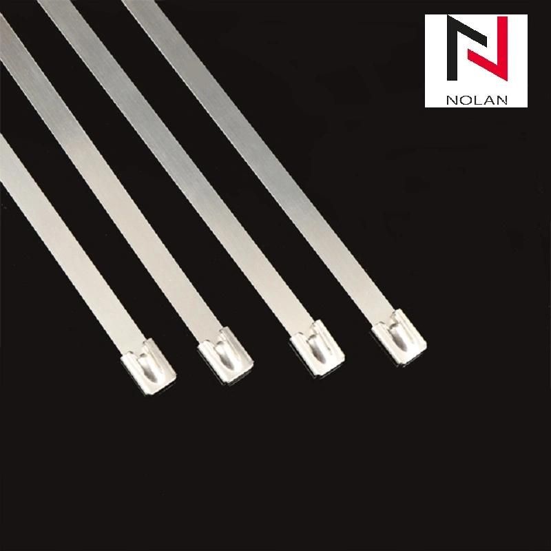 Factory Low Price High Quality Nylon PVC Coated Lock Type Heavy Duty Stainless Steel Cable Ties 201 304