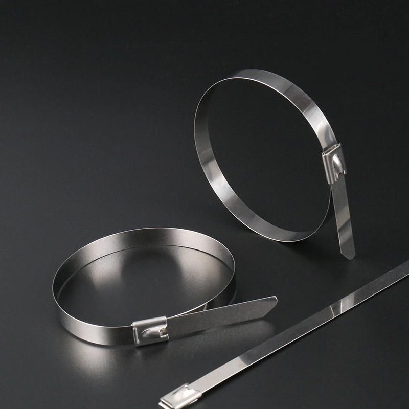 Stainless Metal Wire Self Locking Ball Eoller Stainless201, 304, 316 Steel Cable Ties