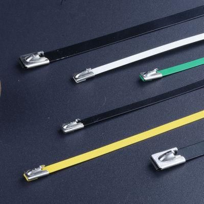 High Quality Factory Directly Provide Cable Tie Stainless Steel with Coating