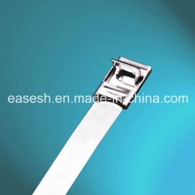 Uncoated Strapping Type Ss 304/316 Cable Tie