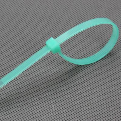 2.5*80 Miniature Cable Ties Zip Ties Tie Wraps Wire Ties China