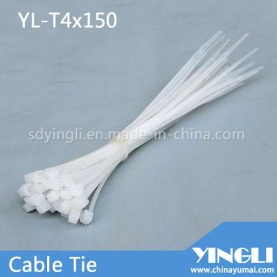 Pull Tight Nylon Cable Tie in 100% New PA