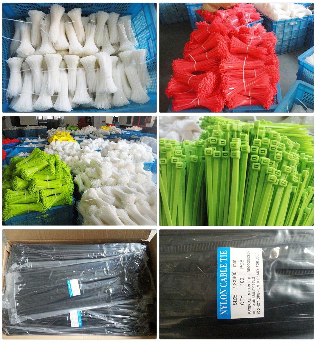 Self-Locking Nylon 66 Cable Tie in Wrap