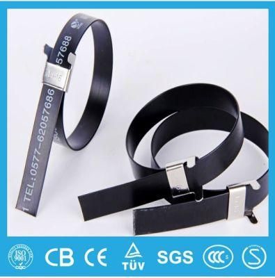 Stainless Steel Cable Ties Wing Lock Type