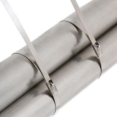 3.5mm Width Self Locking Stainless Steel Cable Zip Ties with Ce Certificate