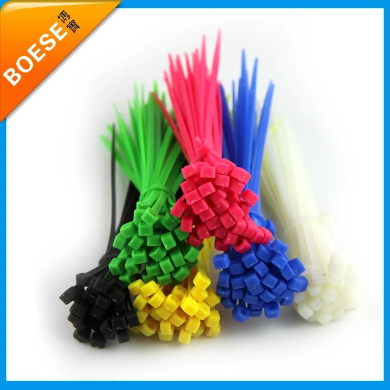 CERohsUL Self-Locking Wire Nylon 66 2.5X100mm Cable Tie Clamps Colours Plastic Cable Tie PA66