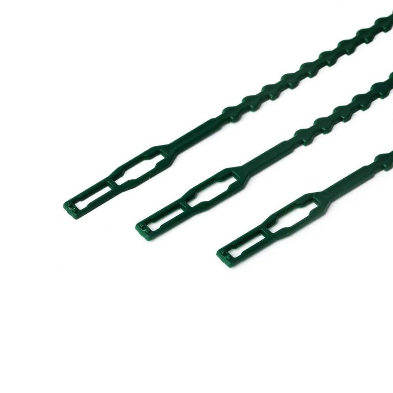 Electric Wire Card Band PE Cable Ties with UL