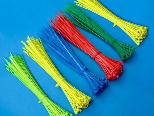 (2.6*200mm) Nylon Cable Tie for Commodity Security Use