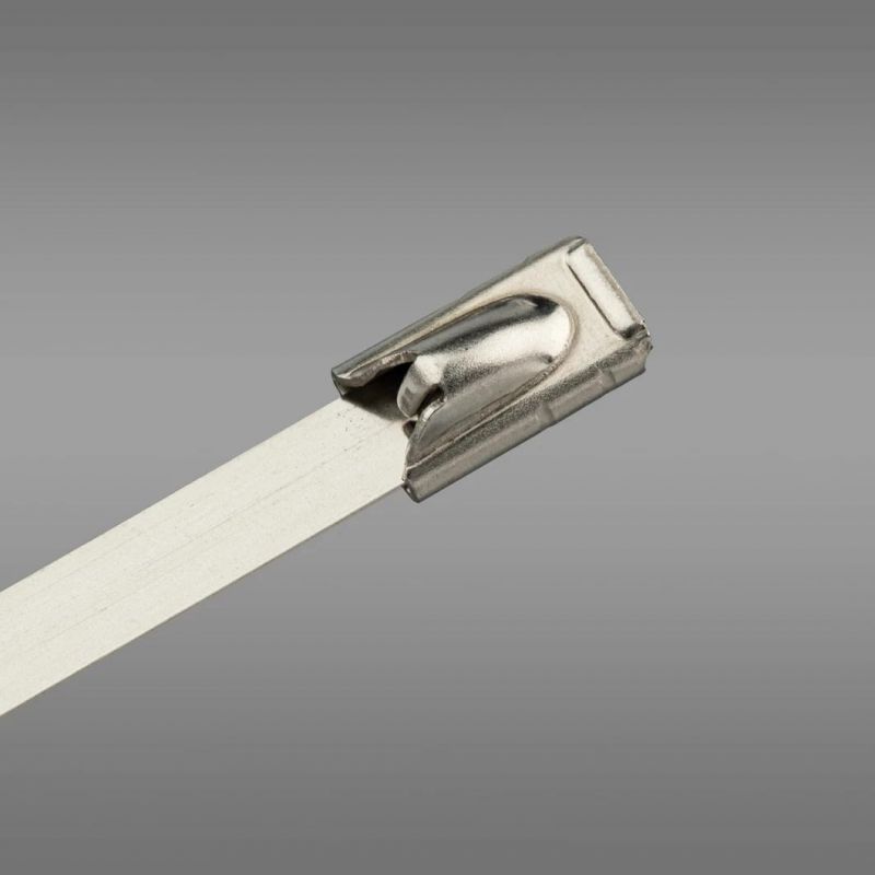 Stainless Steel Cable Tie