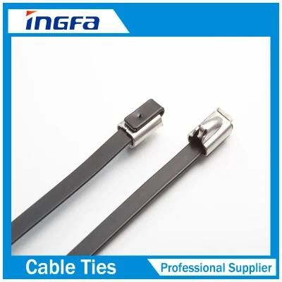 201 204 301 304 316 316L Stainless Steel Expoxy Cable Ties-Ball Lock Type