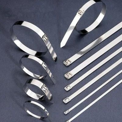 Epoxy Coated SS304 Stainless Steel Cable Ties