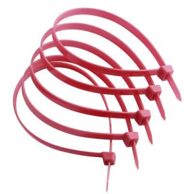 Igoto Selflocking Nylon 66 Cable Ties /Zip Ties/Tie Wraps