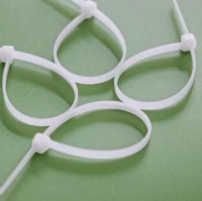 ISO Approved Boese 100PCS/Bag Wenzhou Plastic Products PA66 Nylon Cable Tie