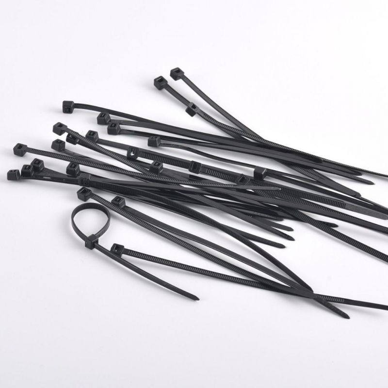 High Standard Self-Locking Nylon Cable Ties with Factory Price