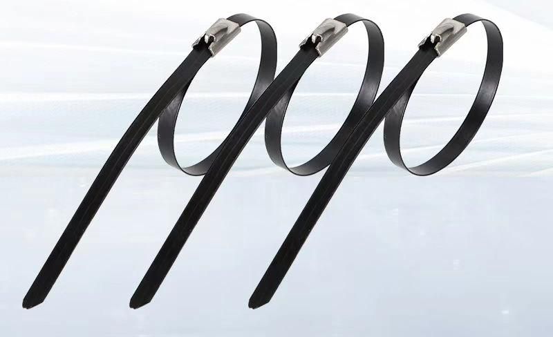 Professional Manufacture Ss Cable Ties 304 Material 7.6X300mm