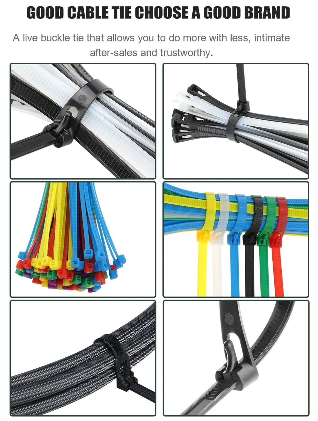 UV Protection Black Nylon 66 Fire Resistance Releasable Plastic Cable Tie