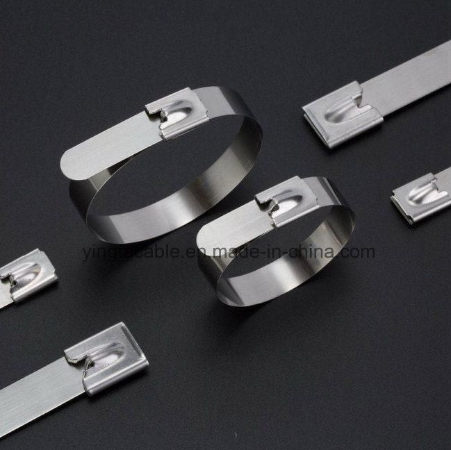 Self Locking China Supplier 8mm Width Stainless Steel Cable Ties