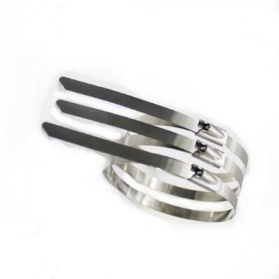 Heat Resistant Stainless Steel Cable / Zip Ties