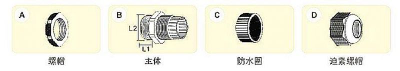 Hot Sale Pg11/Pg16/Pg36 IP68 Wiring Accessories Flexible Cable Brass Glands Pg16 Gland