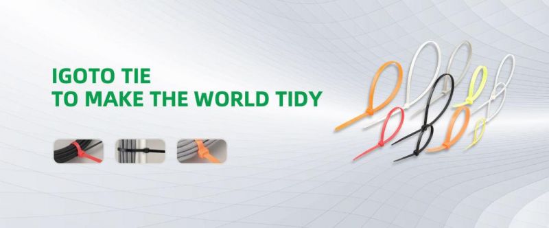 PA66 High Quality 94V-2 RoHS Certificated Nylon Cable Tie