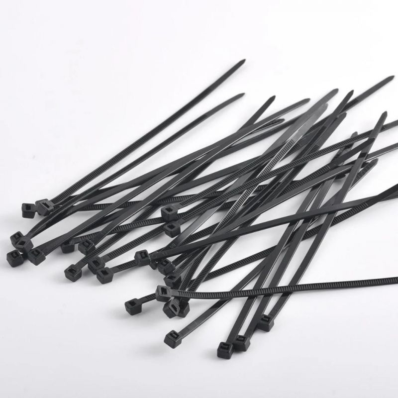 High Grade Nylon Cable Ties with Ladder Price