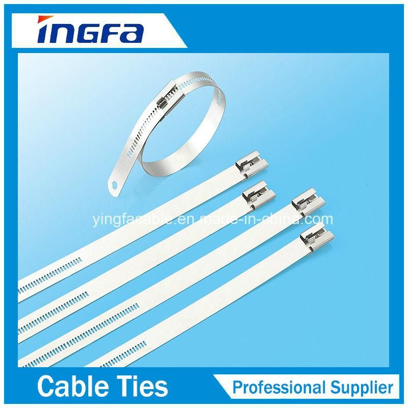 PVC Coated 304 Stainless Steel Ladder Multi Lock Cable Tie