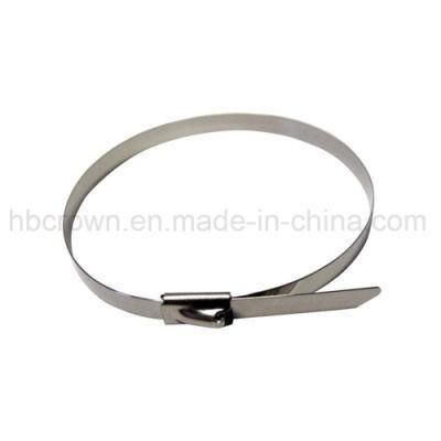 OEM High Quality Stainless Steel Ball Lock Cable Ties