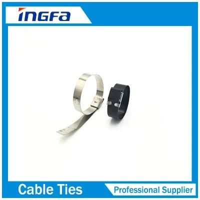 201 204 301 304 316 316L Stainless Steel Cable Ties-Wing Lock Type
