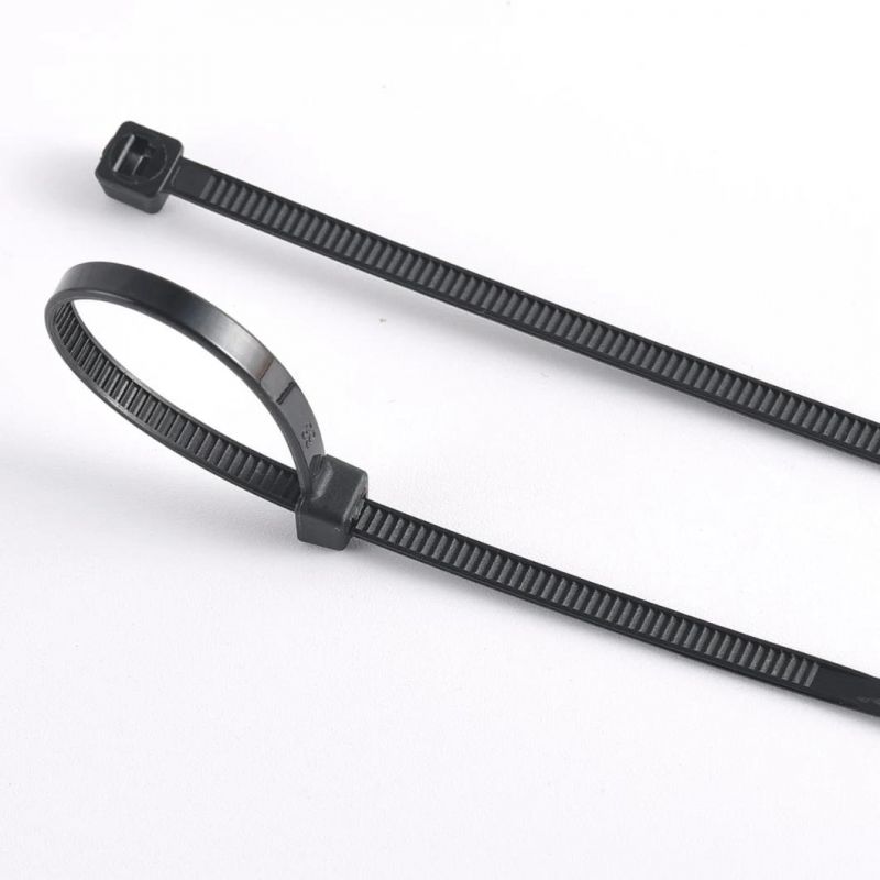 High Grade Nylon Cable Ties with Ladder Price